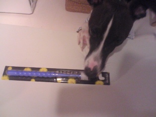 080305_01.jpg