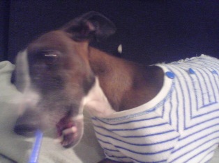 080305_09.jpg