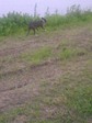 070729_0951~01.jpg