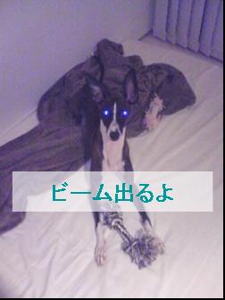 070823_001.jpg