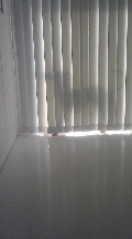 070827_0723~02.jpg