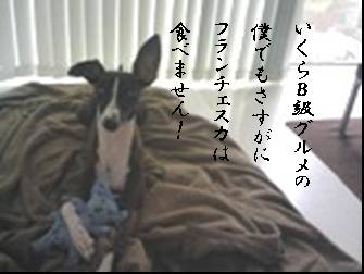 070830_002.jpg