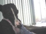 070830_006.jpg