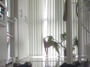 070914_001.jpg