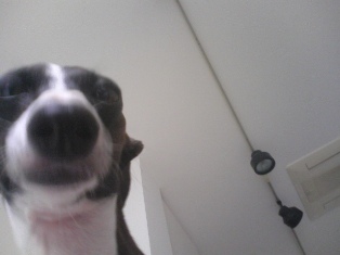 070914_002.jpg
