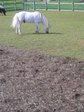 070921_002.jpg