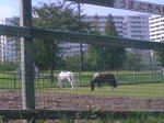 070921_005.jpg