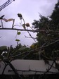 070925_004.jpg