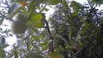 070925_005.jpg