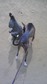070926_003.jpg