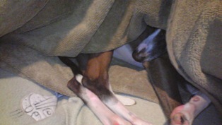071004_003.jpg