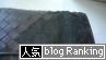 人気ブログランキングへ