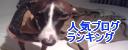 人気ブログランキングへ