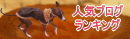 人気ブログランキングへ