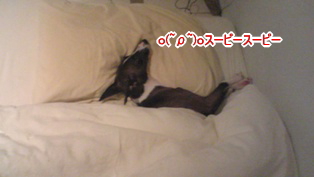 071127_002.jpg