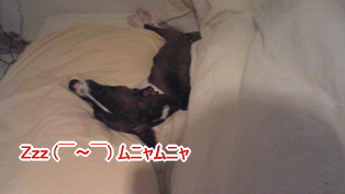 071127_003.jpg