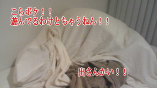 071128_005.jpg