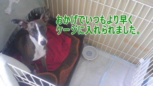071130_01.jpg