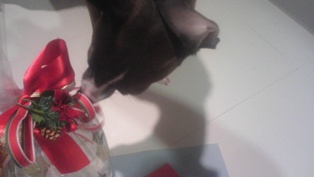 071213_02.jpg