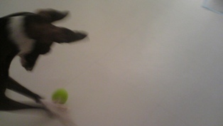 071214_05.jpg