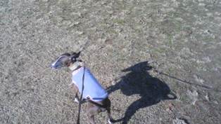 071220_03.jpg