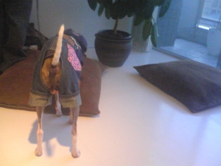 071225_01.jpg