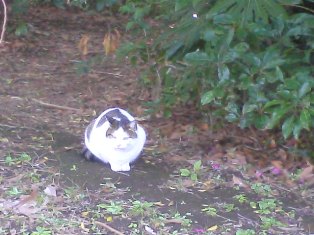 080118_01.jpg