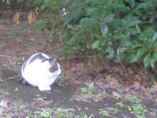 080118_02.jpg