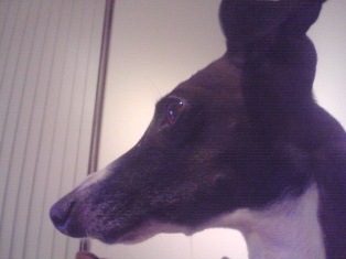 080205_01.jpg