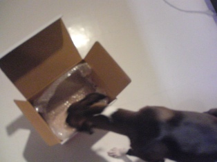 080208_02.jpg