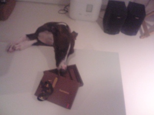 080208_03.jpg
