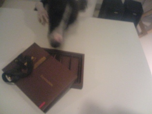 080208_04.jpg