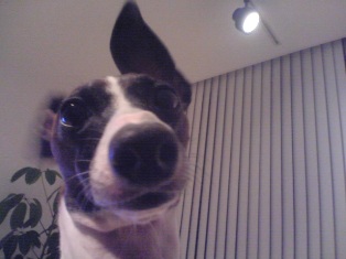 080225_02.jpg