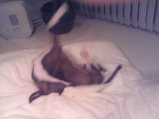 080227_03.jpg
