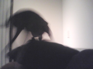 080228_01.jpg