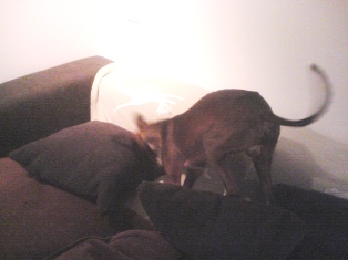 080228_02.jpg