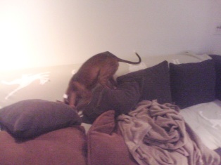 080228_03.jpg