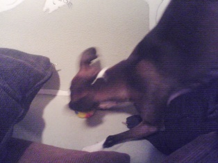 080228_04.jpg