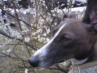 080303_04.jpg