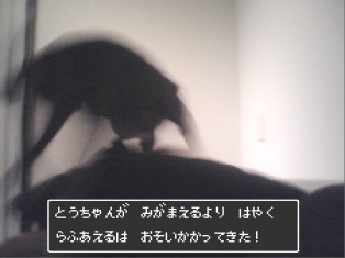 080304_01.jpg