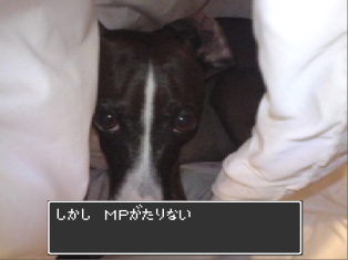 080304_03.jpg