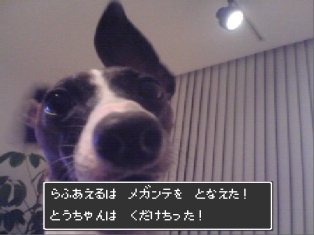 080304_04.jpg